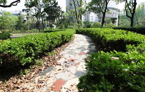 大理師范高等?？茖W(xué)校附屬中學(xué)
