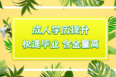 ?？拼髮W(xué)有哪些