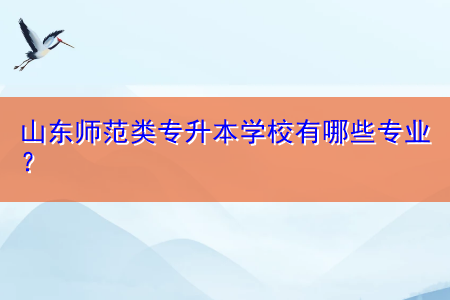 山東師范類專升本學(xué)校有哪些專業(yè)？