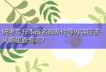 統(tǒng)考專升本報(bào)名的條件等內(nèi)容應(yīng)該從哪里查詢呢？