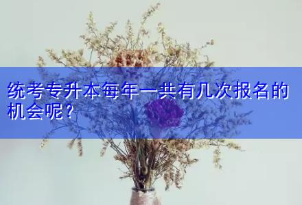 統(tǒng)考專升本每年一共有幾次報(bào)名的機(jī)會呢？