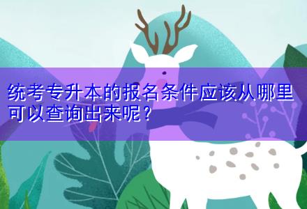 統(tǒng)考專(zhuān)升本的報(bào)名條件應(yīng)該從哪里可以查詢(xún)出來(lái)呢？
