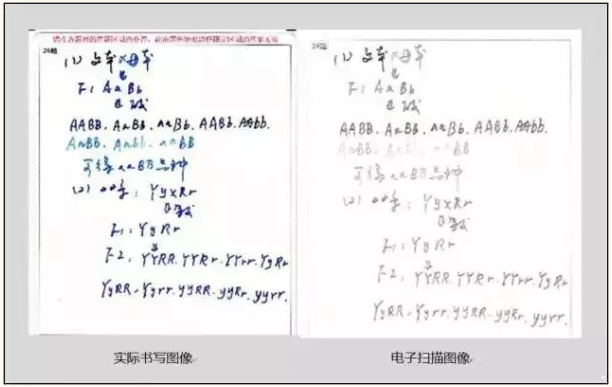 專升本考試答題中常見(jiàn)的錯(cuò)誤及應(yīng)對(duì)措施 專升本考試答題中常見(jiàn)的錯(cuò)誤及應(yīng)對(duì)措施