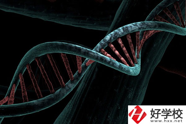 溆浦縣職業(yè)中等專(zhuān)業(yè)學(xué)校宿舍怎么樣？