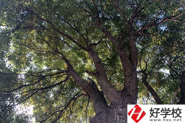 湖南省商業(yè)職業(yè)中專學(xué)校在哪里？升學(xué)就業(yè)怎么樣？