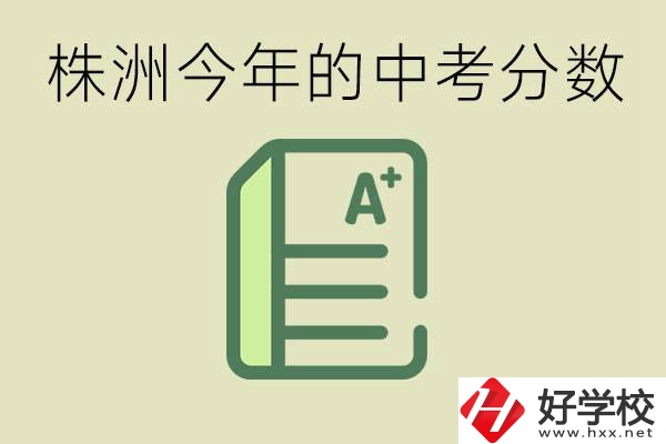 株洲今年中考多少分能上高中？沒考上有什么選擇？