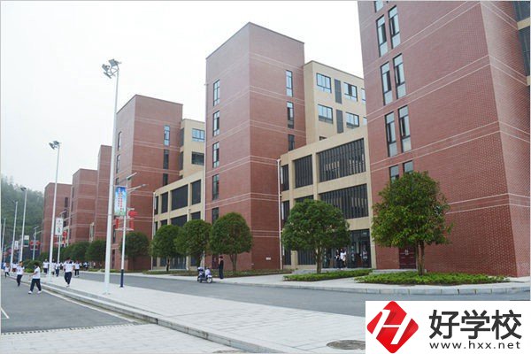 益陽有哪些職高比較有辦學特色？職高入學要求高不高？