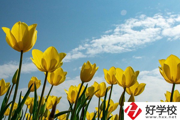 岳陽有開設工業(yè)機器人技術應用專業(yè)的學校