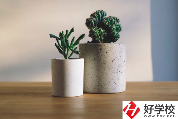 芷江民族職業(yè)中專招生專業(yè)有哪些？收費標準如何？