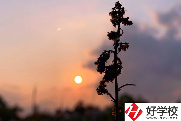 邵陽(yáng)哈博職業(yè)中專學(xué)校好不好？有什么辦學(xué)特色？