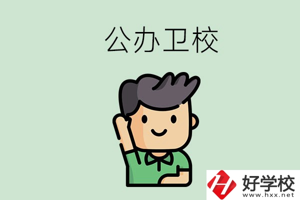 湖南公辦中專(zhuān)衛(wèi)校有哪些？這兩所學(xué)校值得推薦！