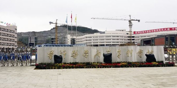畢節(jié)醫(yī)藥高等?？茖W(xué)校校門