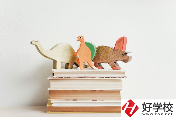 懷化啟航衛(wèi)生學校辦學地址在哪兒？