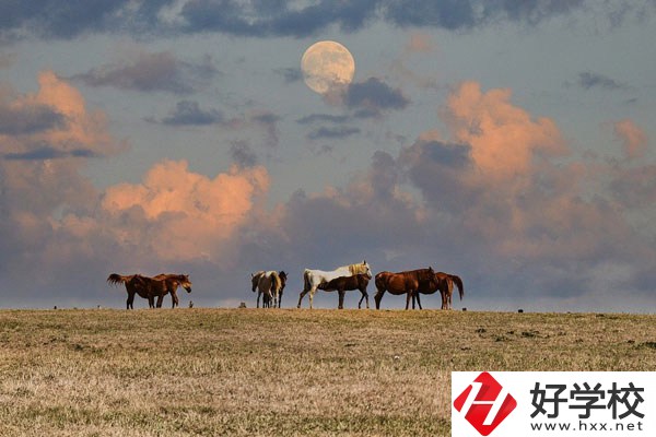 邵陽工業(yè)學校是公辦還是民辦？有什么優(yōu)勢？
