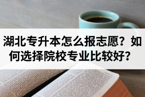 湖北省專升本怎么報志愿？如何選擇填報院校專業(yè)比較好？