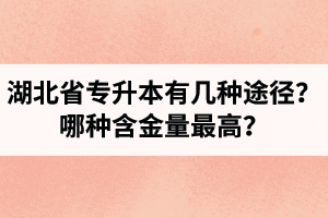 湖北省專升本有幾種途徑？哪種含金量最高？