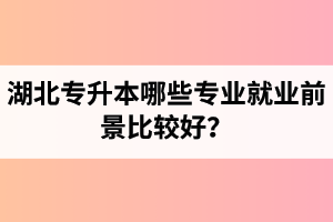 湖北專升本哪些專業(yè)就業(yè)前景比較好？
