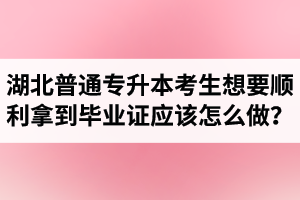 湖北普通專升本考生想要順利拿到畢業(yè)證應(yīng)該怎么做？