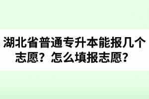 湖北省普通專升本能報(bào)幾個(gè)志愿？怎么填報(bào)志愿？
