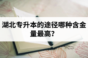 湖北普通專升本英譯漢段落翻譯分析應(yīng)該怎么做？