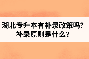 湖北專升本有補(bǔ)錄政策嗎？補(bǔ)錄原則是什么？