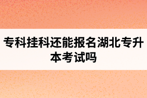 ?？茠炜七€能報名湖北專升本考試嗎？在哪里能獲取最新的專升本資訊？