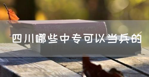 四川哪些中?？梢援?dāng)兵的(圖1)