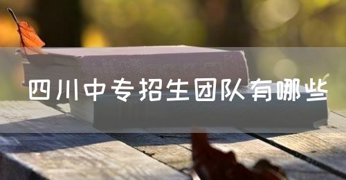 四川中專(zhuān)招生團(tuán)隊(duì)有哪些(圖1)