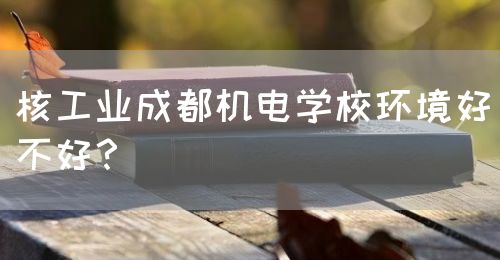 核工業(yè)成都機電學(xué)校環(huán)境好不好？(圖1)