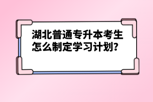 湖北普通專升本考生怎么制定學習計劃？