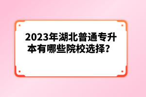 2023年湖北普通專升本有哪些院校選擇？