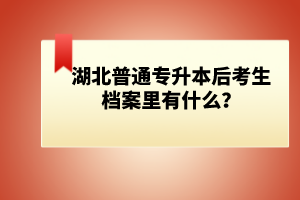 湖北普通專(zhuān)升本后考生檔案里有什么？