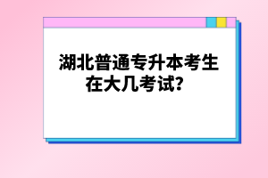 湖北普通專升本考生在大幾考試？
