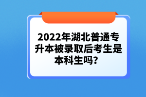 2022年湖北普通專升本被錄取后考生是本科生嗎？