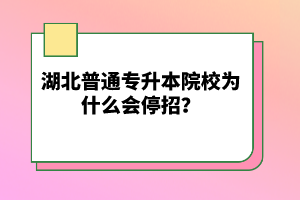 湖北普通專升本院校為什么會停招？