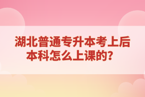 湖北普通專(zhuān)升本考上后本科怎么上課的？