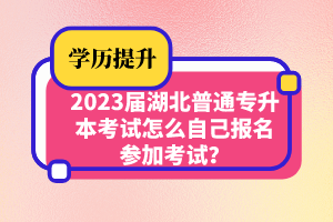 2023屆湖北普通專升本考試怎么自己報名參加考試？