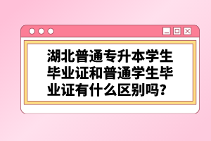 湖北普通專升本學(xué)生畢業(yè)證和普通學(xué)生畢業(yè)證有什么區(qū)別嗎？