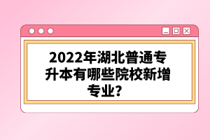 2022年湖北普通專升本有哪些院校新增專業(yè)？