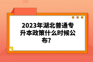 2023年湖北普通專升本政策什么時(shí)候公布？
