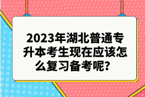2023年湖北普通專升本考生現(xiàn)在應(yīng)該怎么復習備考呢？