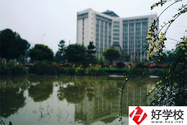 湘西有哪些重點技校可以推薦？學校特色是什么？