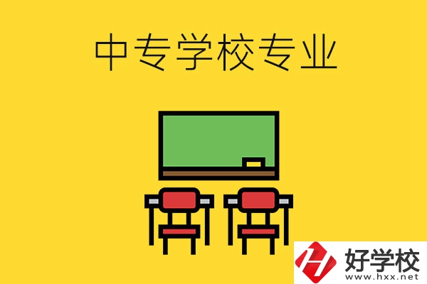 湖南的中專學(xué)校有哪些專業(yè)好就業(yè)？