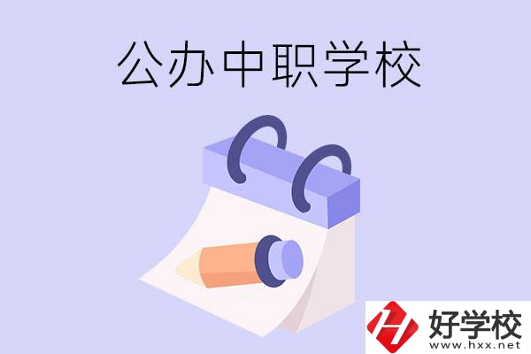湖南公辦中職學(xué)校有哪些辦學(xué)規(guī)模比較大的？