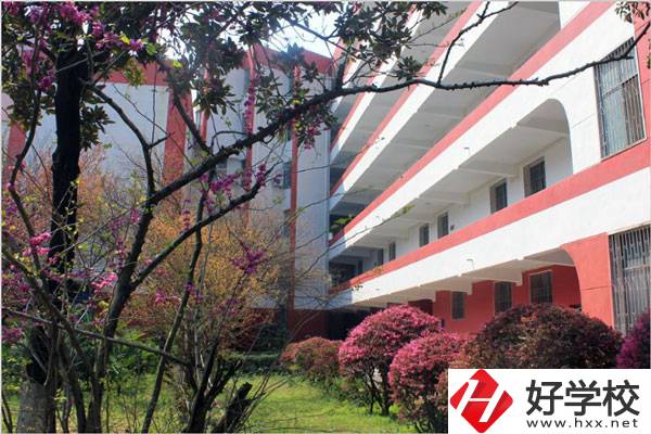 婁底有哪些技校？哪一所比較好？