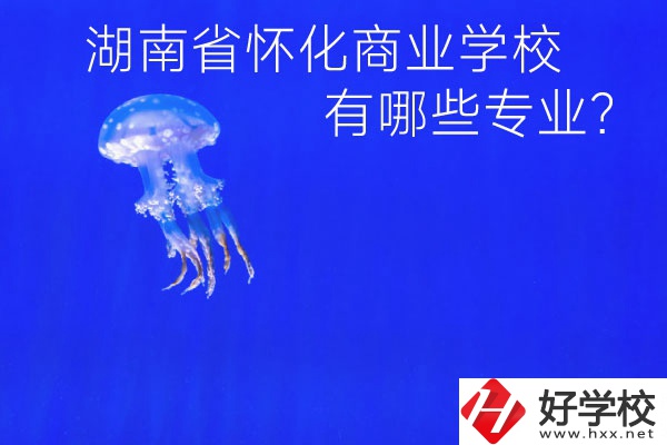 湖南省懷化商業(yè)學(xué)校好不好？有哪些專業(yè)？
