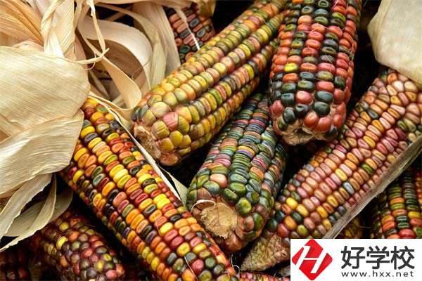 岳陽中職學校哪些專業(yè)好？有什么學校推薦？