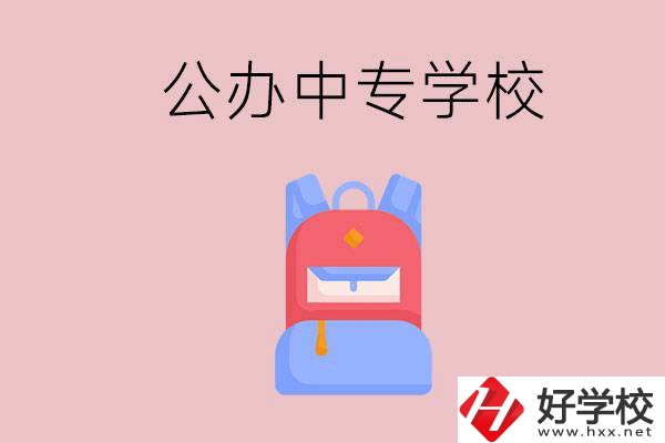 婁底有什么公辦中專學校？教學怎么樣？