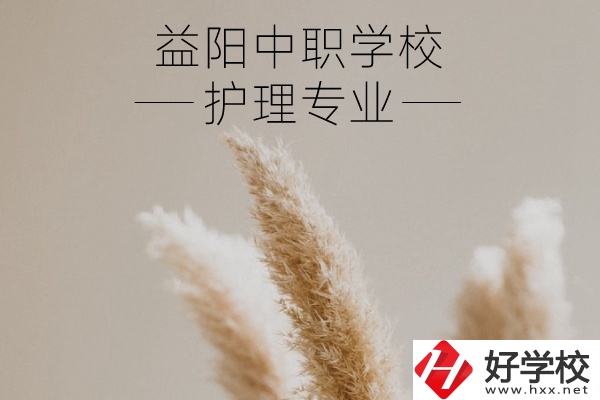 益陽護理專業(yè)的中職學(xué)校有哪些？需要哪些要求？