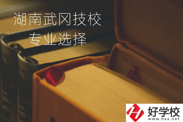 湖南武岡技校怎么樣？有哪些專業(yè)可以選擇？